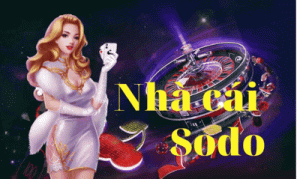 Sodo Casino - Đội ngũ chuyên gia hàng đầu trong lĩnh vực cờ bạc